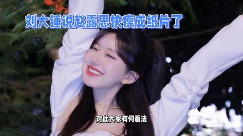 刘大锤最新爆料赵露思12人,从默默无闻到璀璨星途  第2张